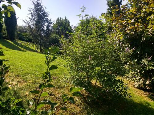 Bed & Breakfast Villa Terrefort
