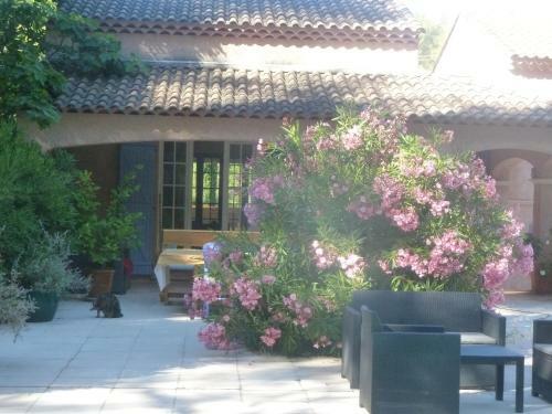 La Grande Villa Des Oliviers