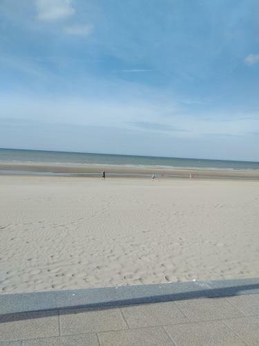 Apartamento Meubl� Saisonnier Plage 200 M