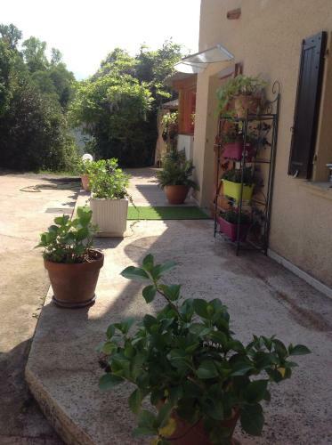 Apartamento Charmant Appartement 2 Pi�ces