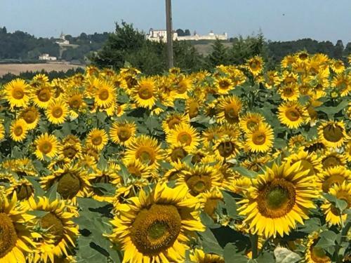 An Oasis Of Peace And Quiet