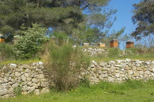 Apartamento Charmant Appartement Neuf Le Taoume