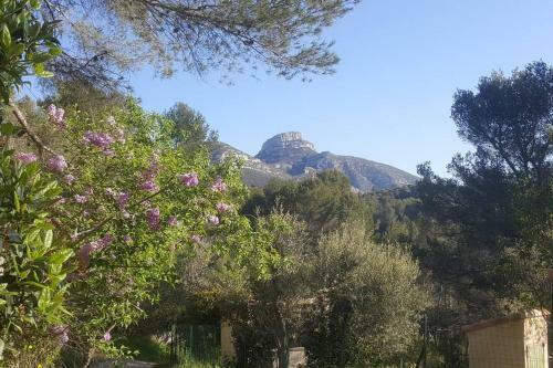 Apartamento Charmant Appartement Neuf Le Taoume