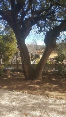 Apartamento Charmant Appartement Neuf Le Taoume