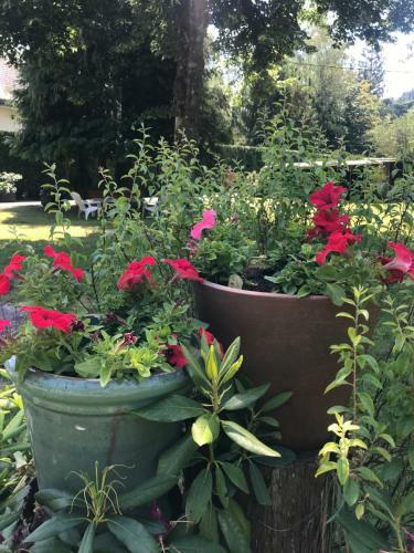 Bed & Breakfast La Long�re Piscine&spa Priv�