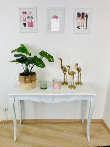 Apartamento Studio Urbain
