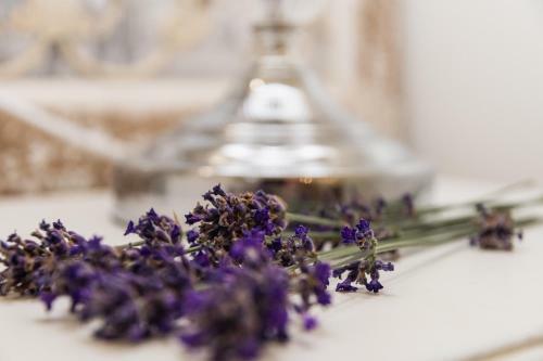 Apartamento The French Boudoir