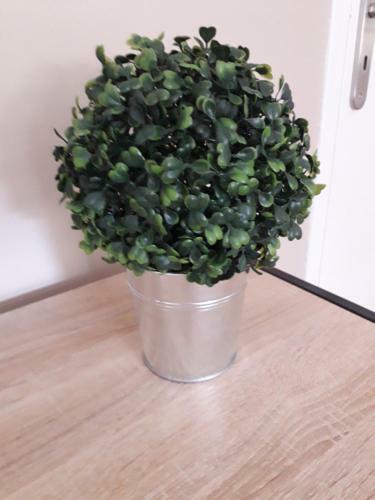 Apartamento Louis Pasteur 6 Premium