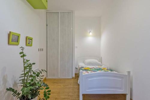 Opuntia (pech) Location En M�diterran�e