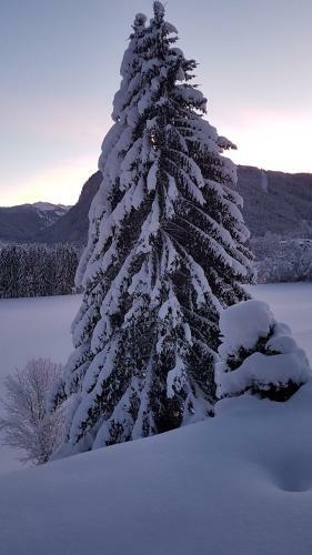 Apartamento Au Calme Face Au Grand Paysage