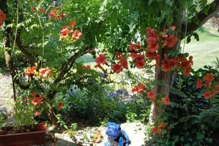 Bed & Breakfast Chambre Dans Ancienne Ferme R�nov�e