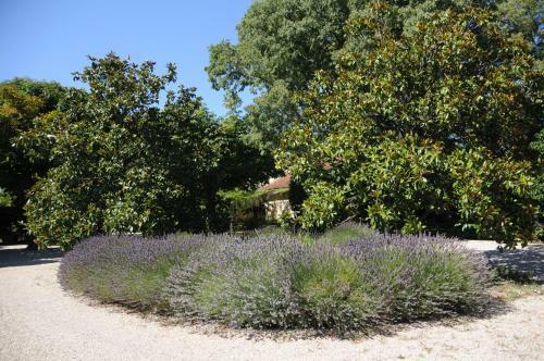 Apartamento Bastide St Joseph