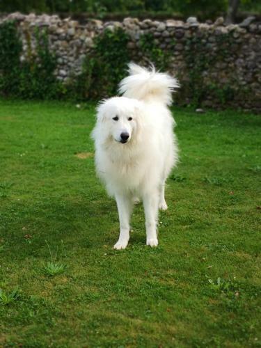 Hostal Chateau De Heaas