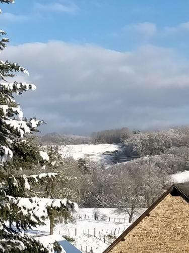 Hostal Chateau De Heaas