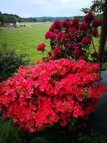 Hostal Chateau De Heaas