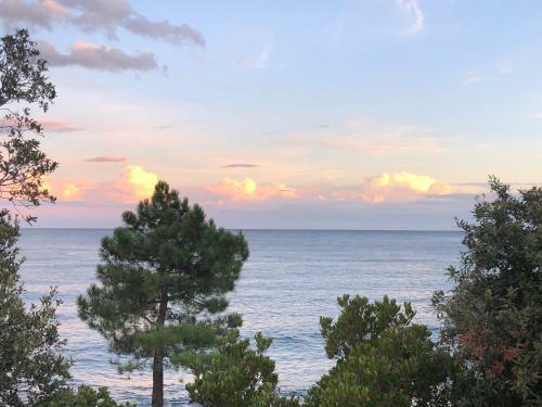 Mini Villa Bord De Mer, Plage Sable Fin 50m