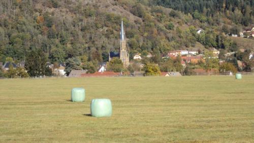 J'irai Dormir Chez Vous