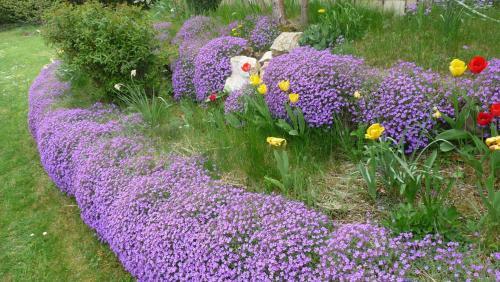 Bed & Breakfast Les Aubretias