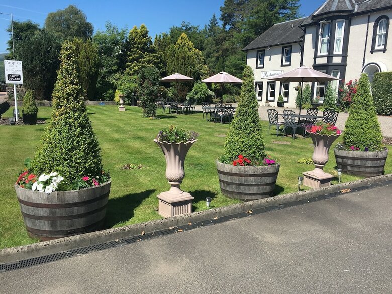 Bed & Breakfast Poppies Hotel