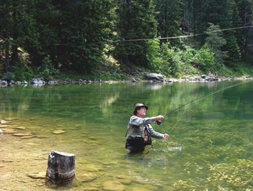 Apartamento Bastide De La L�zardi�re