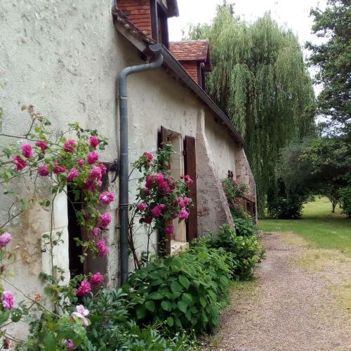 Au Jardin De Grand-p�re