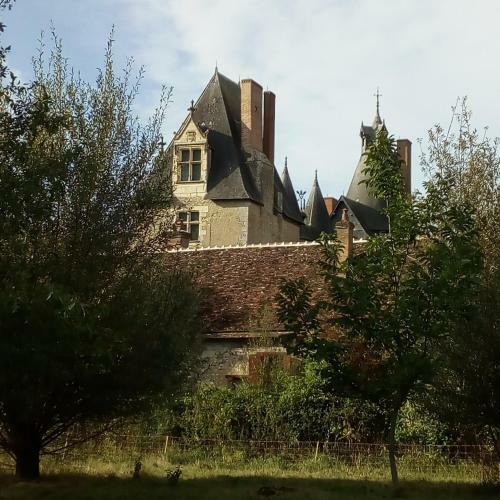 Au Jardin De Grand-p�re