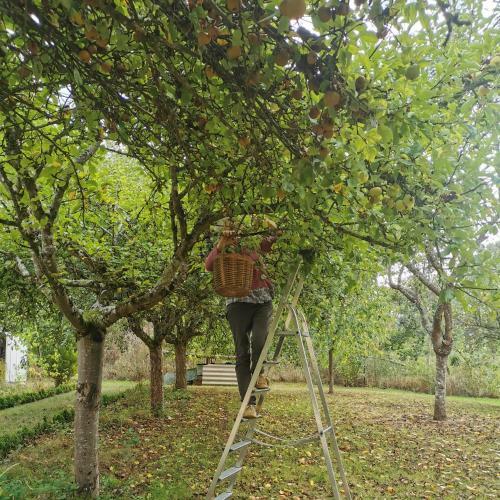 Au Jardin De Grand-p�re