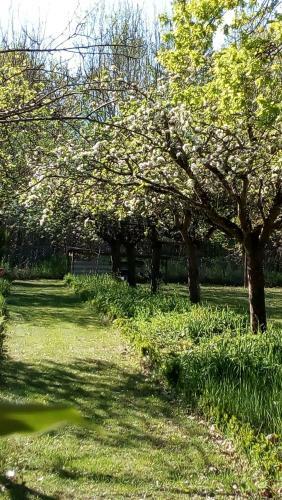 Au Jardin De Grand-p�re