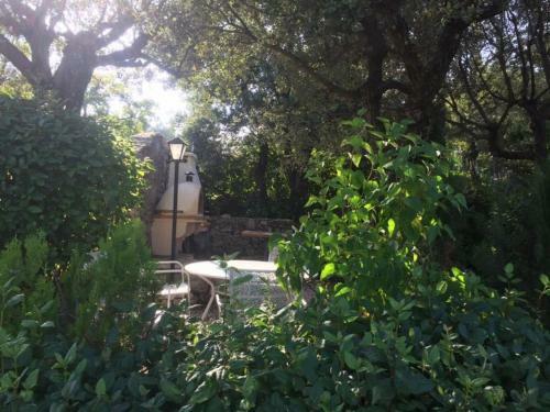 Bed & Breakfast Crazy Foxy Retreats