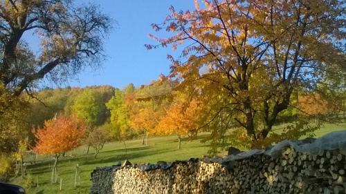 Gite Les Hauts Jardins