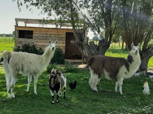 Bed & Breakfast Chambre Coin Zen