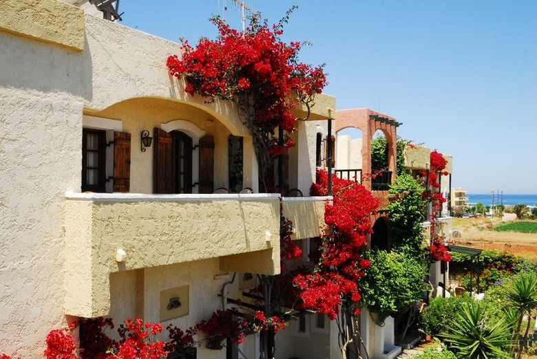 Hotel Malia Studios Apartments