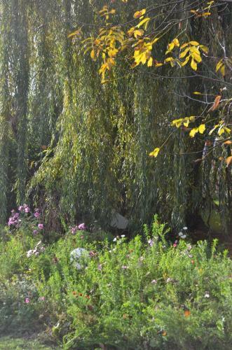 Villa Domaine Des 4roses -spa Et S�r�nit�