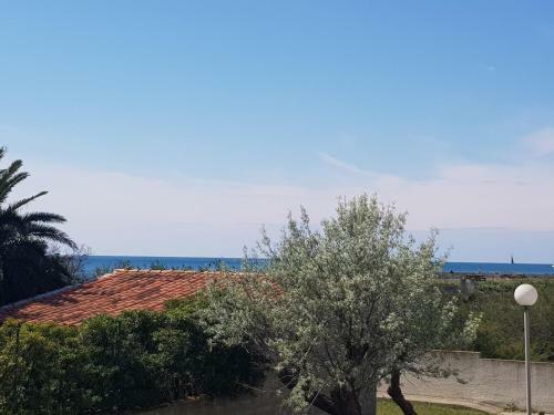 Apartamento La Rose Des Sables