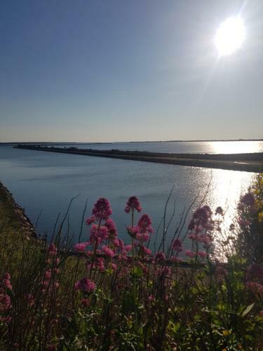 Apartamento La Rose Des Sables