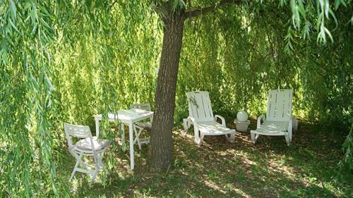Bed & Breakfast Villa Chavagnac
