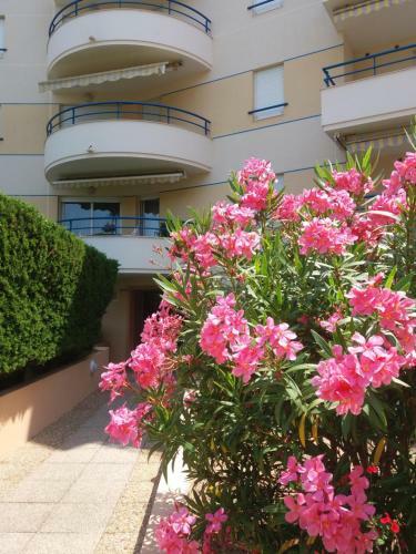 Apartamentos R�sidence Ipan�ma