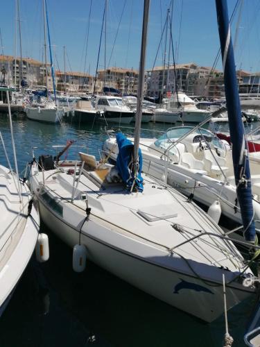 Joli Voilier De 6m Pour Exp�rience Insolite