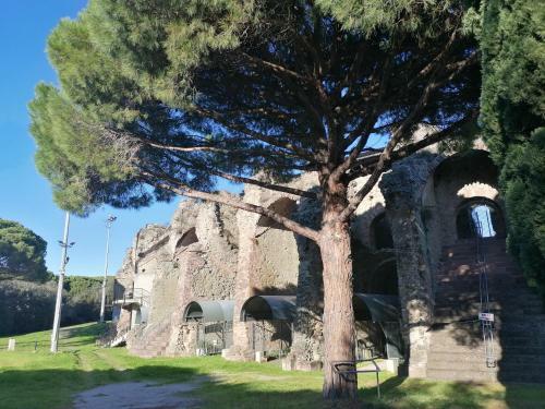 Apartamento Appartement Aux Pieds Des Ar�nes