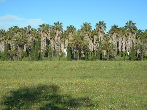 Camping Le Montourey � Fr�jus 83600