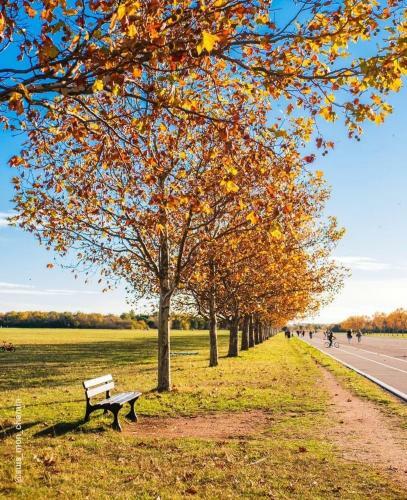 Apartamento Appartement Duplex Et Piscine