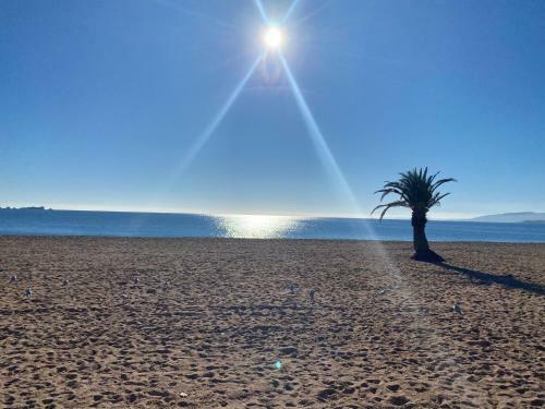 Apartamento Frejus Var Appartement 200m Des Plages