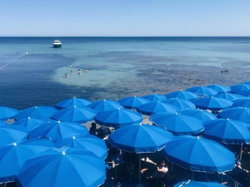 Chalet � Gassin Au Calme Sous Les Pins