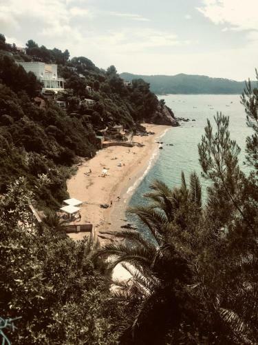 Chalet � Gassin Au Calme Sous Les Pins