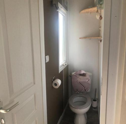 Mobil Home Royal ****