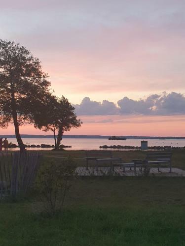 Mon Joli Mobil Home Dans Les Landes