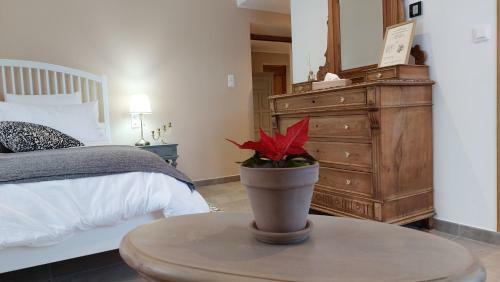 Bed & Breakfast Mas Elena