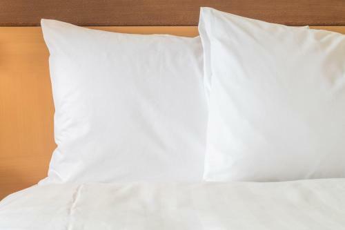 Holiday Inn Express Hotel & Suites Torrington