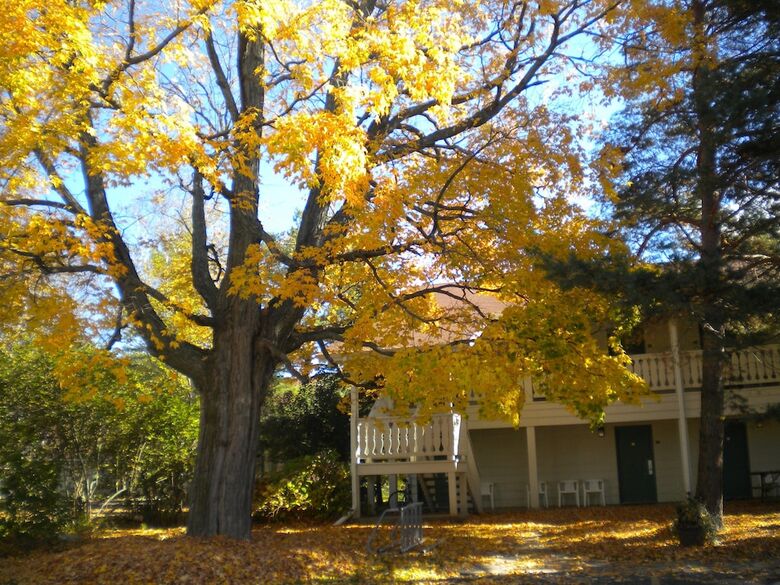 Hotel Parkwood Lodge