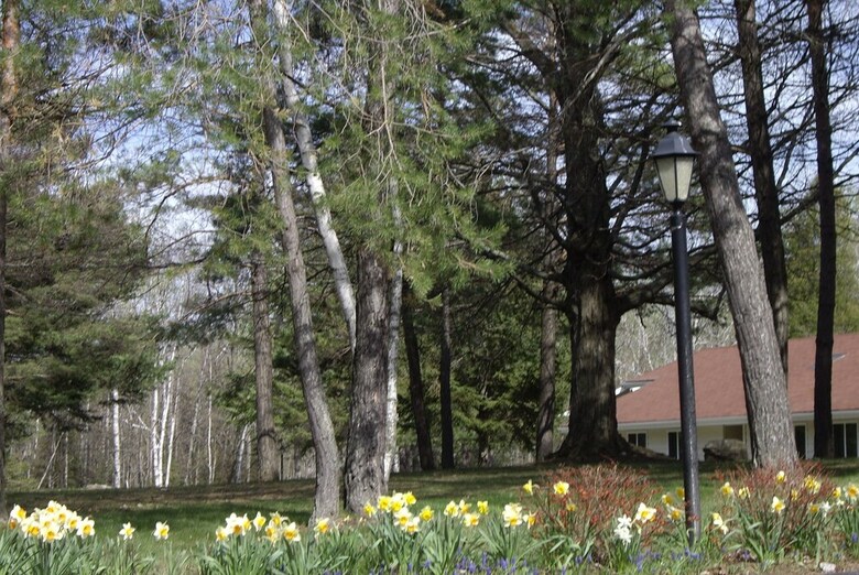 Hotel Parkwood Lodge